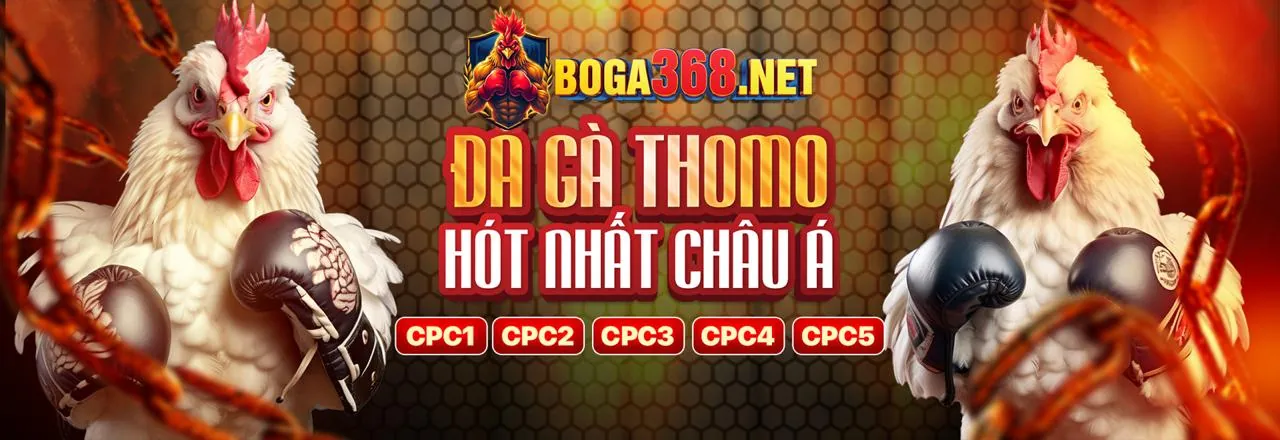 An toàn và hỗ trợ khách hàng 8win55