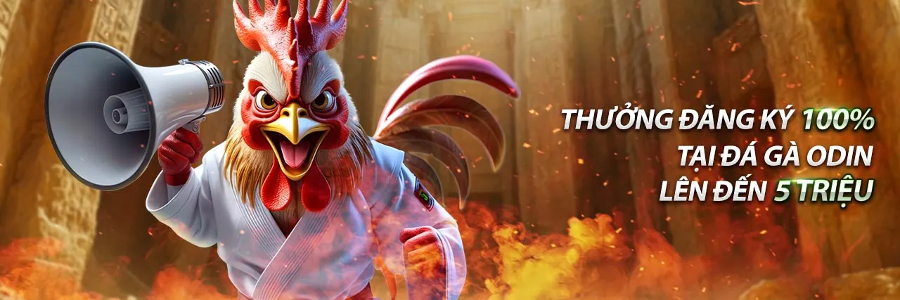 Giao diện đăng nhập an toàn 8 win55