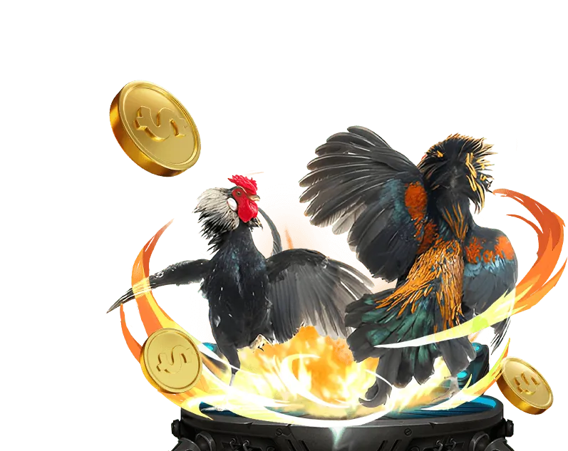 Ưu điểm vượt trội của đá gà 8 Win55